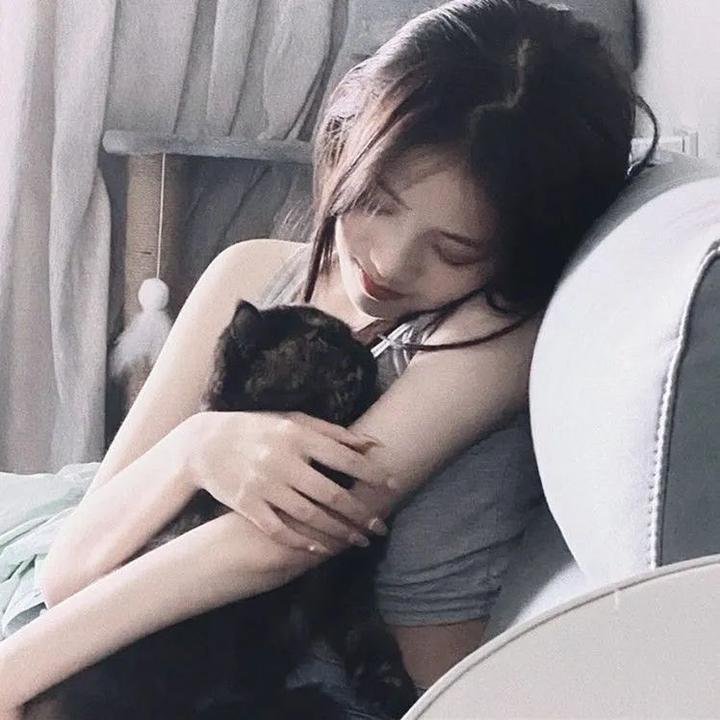 名校风暴第八季